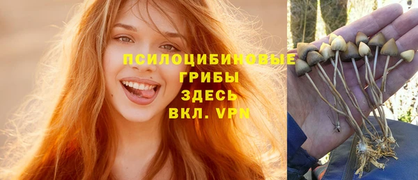 круглые Алексеевка